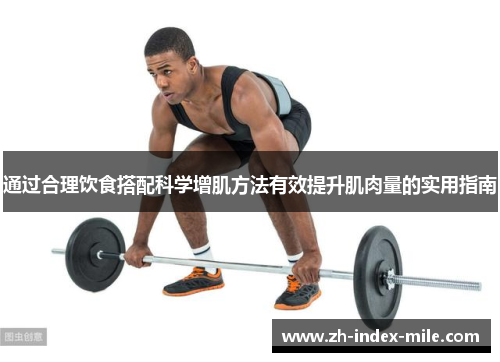 通过合理饮食搭配科学增肌方法有效提升肌肉量的实用指南 通过合理饮食搭配科学增肌方法有效提升肌肉量的实用指南