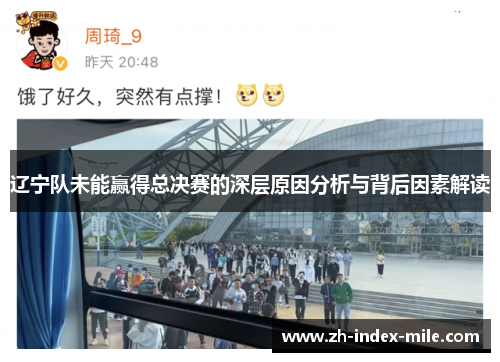 辽宁队未能赢得总决赛的深层原因分析与背后因素解读