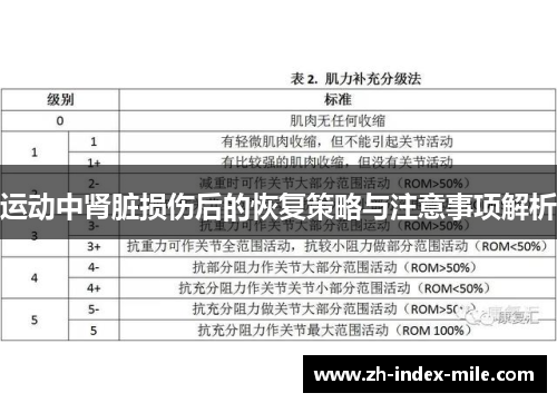 运动中肾脏损伤后的恢复策略与注意事项解析