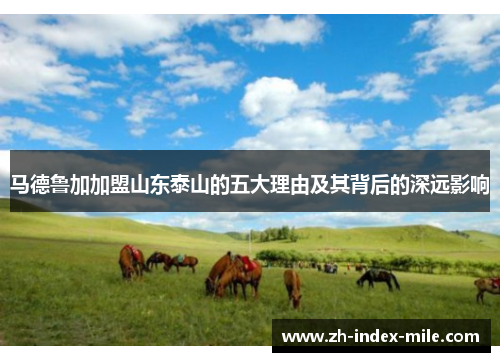 马德鲁加加盟山东泰山的五大理由及其背后的深远影响 马德鲁加加盟山东泰山的五大理由及其背后的深远影响
