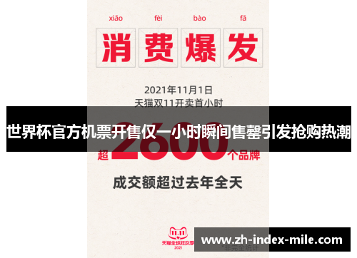 世界杯官方机票开售仅一小时瞬间售罄引发抢购热潮