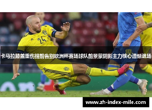 卡马拉膝盖重伤提前告别欧洲杯赛场球队前景蒙阴影主力核心遗憾退场